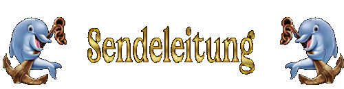 Sendeleitung